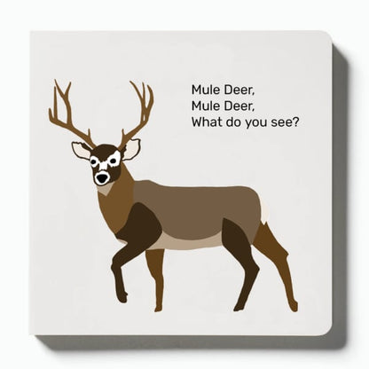 🦌 Whitetail, Whitetail, What Do You See? — Rounded-Corner & Reinforced Children‘s Book for the Hunting Family by Mueller Optics